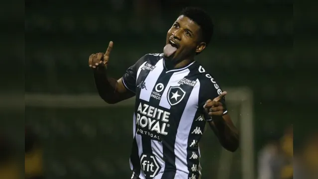 Imagem ilustrativa da notícia Botafogo
vence, encaminha permanência e rebaixa Chapecoense