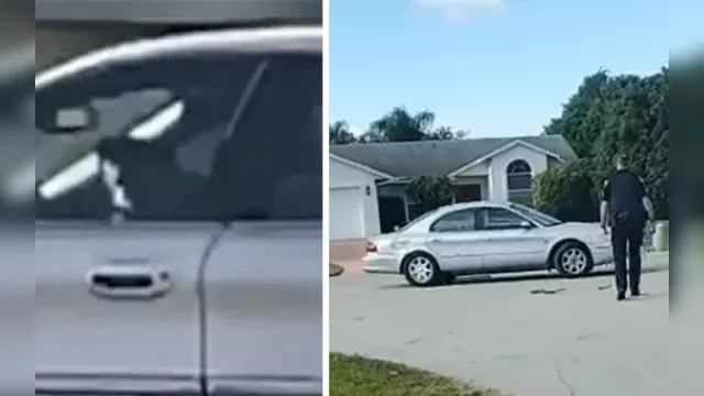 Imagem ilustrativa da notícia Vídeo: cachorro dirige carro da família e polícia é acionada 