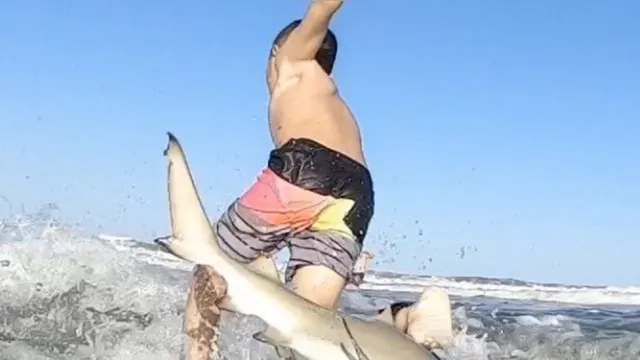 Imagem ilustrativa da notícia Vídeo: tubarão leva garoto de 7 anos para a água enquanto surfava