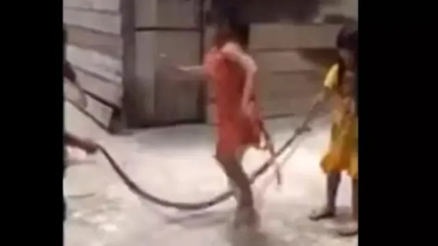 Imagem ilustrativa da notícia Vídeo mostra crianças brincando de ‘pular corda’ com uma cobra