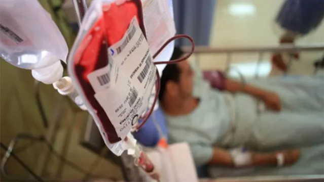 Imagem ilustrativa da notícia Dia do Doador de Sangue: benefícios e tudo o que você precisa saber para doar