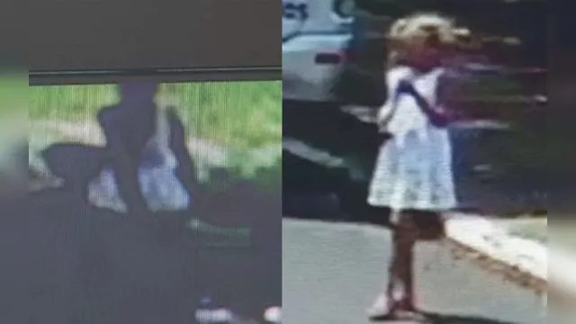 Imagem ilustrativa da notícia Menina de oito anos desaparece enquanto brincava em parque
