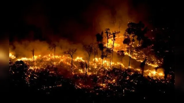 Imagem ilustrativa da notícia Justiça manda soltar Sem-terras presos por “dia do fogo” no Pará; leia
no Repórter Diário