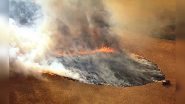 Imagem ilustrativa da notícia Fumaça dos incêndios na Austrália dará volta ao mundo