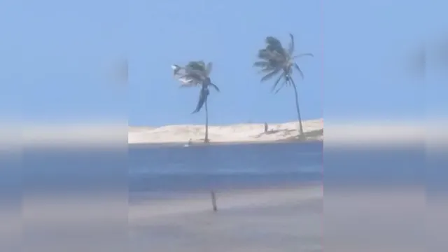Imagem ilustrativa da notícia Vídeo: praticante de kitesurf fica preso em coqueiro
