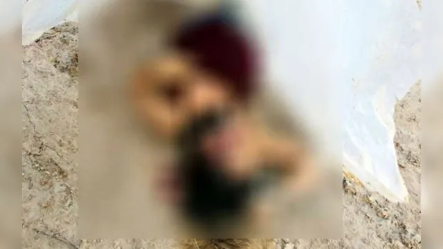 Imagem ilustrativa da notícia Imagens fortes! Vídeo mostra momento em que mulher foi torturada e morta a tiros