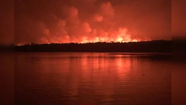 Imagem ilustrativa da notícia Grileiros,
e não brigadistas, são suspeitos de incêndios no Pará, segundo investigação
federal