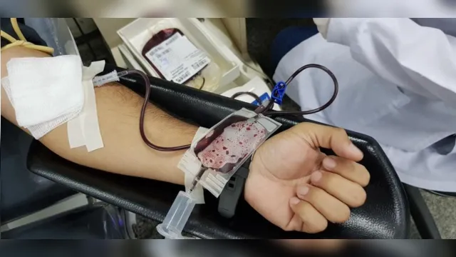 Imagem ilustrativa da notícia Mais de 8 mil devem receber sangue coletado na Semana do Doador em Belém