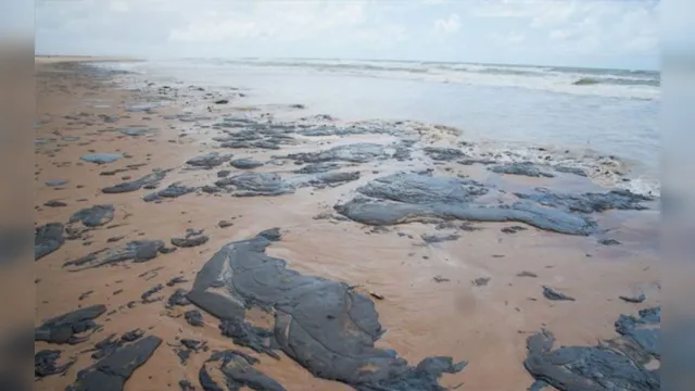 Imagem ilustrativa da notícia Marinha dá alerta e fala sobre dificuldade para impedir avanço de óleo no litoral