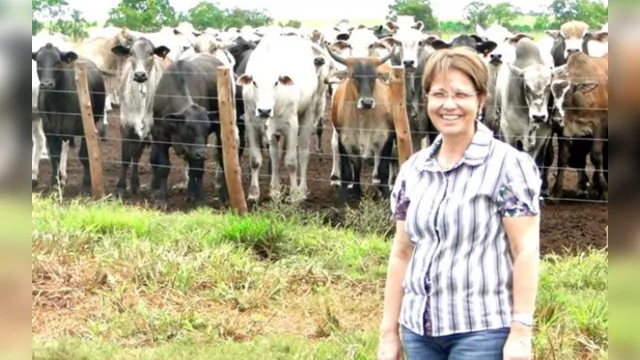 Imagem ilustrativa da notícia Ministra diz que Brasil pode passar a importar carne bovina