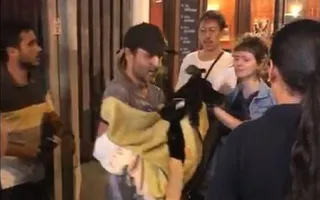 Imagem ilustrativa da notícia PM atira em cachorro de flanelinha