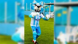 A vítima trabalha como mascote do Paysandu e foi a gre