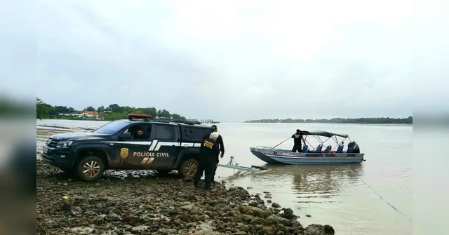 Imagem ilustrativa da notícia Polícia Civil prende três pessoas pela prática de crime ambiental no Marajó