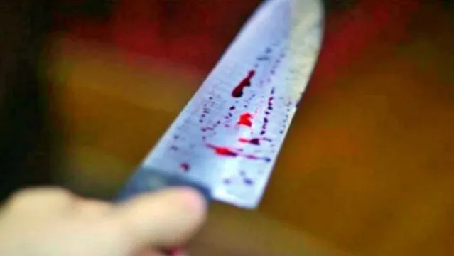 Imagem ilustrativa da notícia Mulher mata a facadas homem que tentou estuprar filha de 10 anos no Pará
