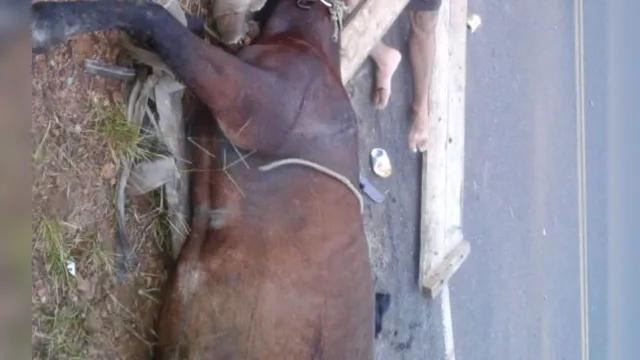 Imagem ilustrativa da notícia Homem morre e cavalo quebra patas após carroça ser atingida por táxi
