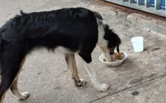 Segundo a denúncia, não levou nem um mês quando a família decidiu abandoná-la.