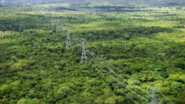 Vários bairros da capital do Amazonas, além de cidades do interior foram afetados.