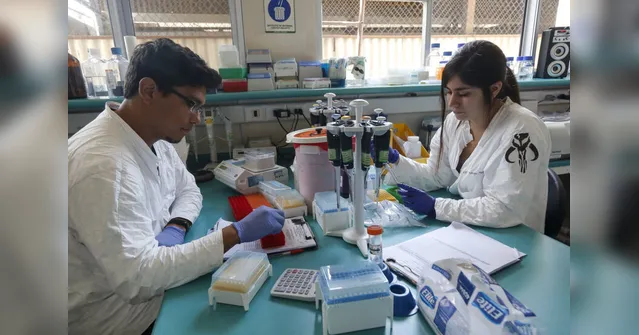Imagem ilustrativa da notícia Genoma
do coronavírus que infectou brasileiro é sequenciado