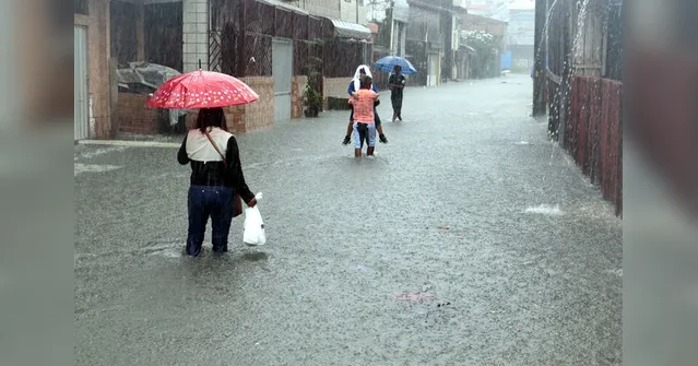Imagem ilustrativa da notícia Chuva causa perdas e danos a moradores de Belém. Saiba como ajudar