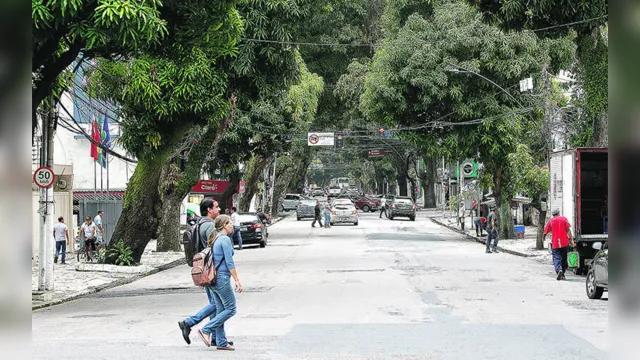 Imagem ilustrativa da notícia Serviço de poda interdita parcialmente avenida Nazaré neste domingo (8)