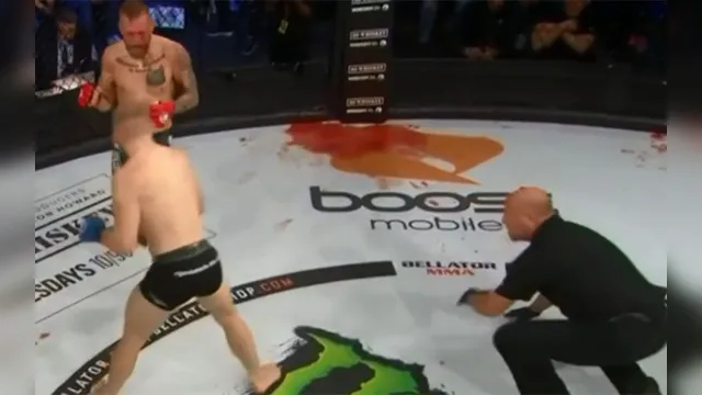 Imagem ilustrativa da notícia Lutador derruba árbitro durante combate do Bellator. Veja o vídeo!
