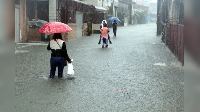 Imagem ilustrativa da notícia Chuva causa perdas e danos a moradores de Belém. Saiba como ajudar