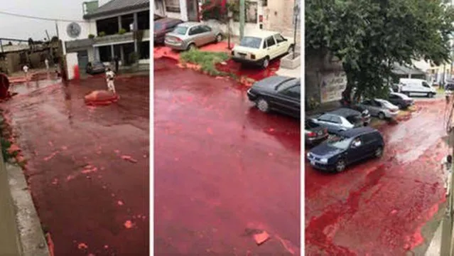 Imagem ilustrativa da notícia Matadouro despeja 500 mil litros de sangue em ruas após pane no maquinário; assista!