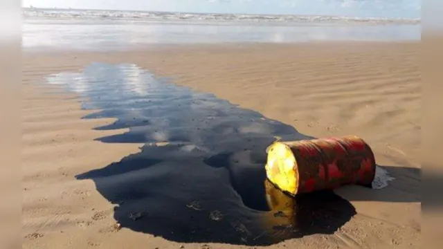 Imagem ilustrativa da notícia Leandro Mazzini destaca: manchas de óleo desapareceram, mas crime segue sem solução
