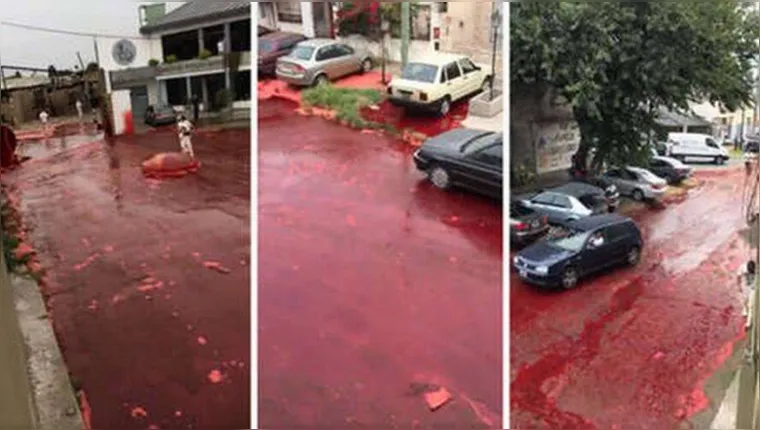 Imagem ilustrativa da notícia Matadouro despeja 500 mil litros de sangue em ruas após pane no maquinário; assista!