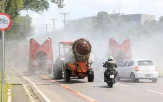 Trabalhos foram iniciados no último domingo pelas ruas da capital
