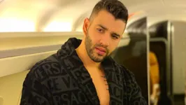O cantor fez uma apresentação na internet e consumiu bebidas alcoólicas durante a transmissão 