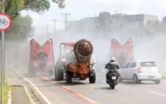 Trabalhos foram iniciados no último domingo pelas ruas da capital