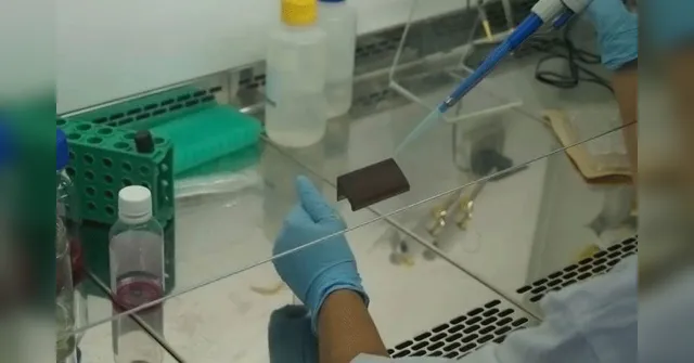 Imagem ilustrativa da notícia UEPA participa de pesquisa que avalia atuação de proteína contra coronavírus