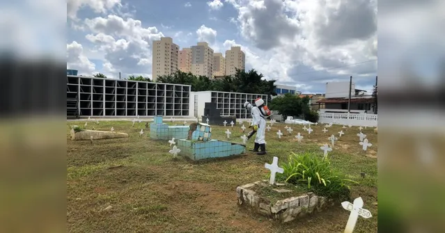 Imagem ilustrativa da notícia Brasil
tem 99 novas mortes por coronavírus; total é de 1.223