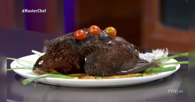 Imagem ilustrativa da notícia Masterchef expulsa participante por servir ave crua e com penas