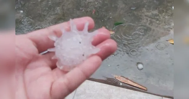 Imagem ilustrativa da notícia Chuva de granizo em formato de coronavírus assusta moradores. Veja! 