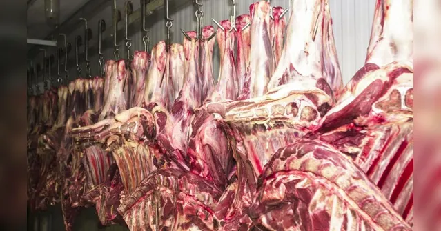 Imagem ilustrativa da notícia Pará vai exportar carne bovina para a Tailândia