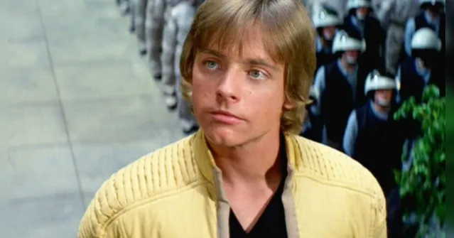 Imagem ilustrativa da notícia "Luke Skywalker" pede saída de Ivy do BBB por rede social 