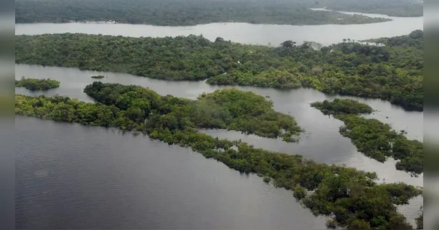 Imagem ilustrativa da notícia Amazônia é um portão de vírus, alerta cientista que diz que próxima pandemia pode surgir no Brasil