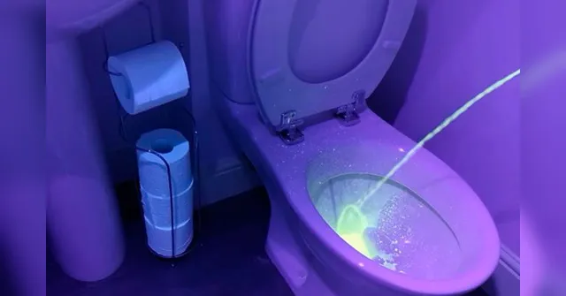 Imagem ilustrativa da notícia Você irá querer fazer xixi sentado quando ver este vídeo