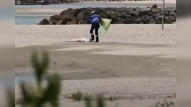 Imagem ilustrativa da notícia Polícia invade praia para deter banhista e encontra boneca inflável abandonada. Veja!