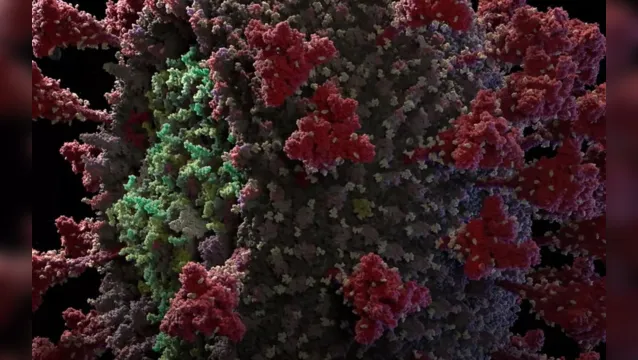 Imagem ilustrativa da notícia Modelo mais preciso do coronavírus é reproduzido em 3D por estúdio; veja o vídeo!
