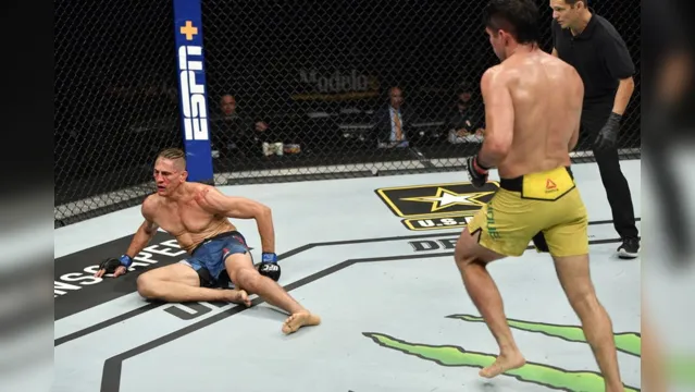 Imagem ilustrativa da notícia Lutador fica irreconhecível após batalha com brasileiro no UFC 249