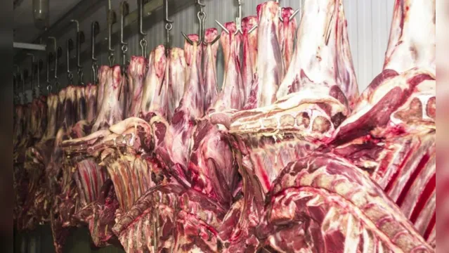 Imagem ilustrativa da notícia Pará vai exportar carne bovina para a Tailândia