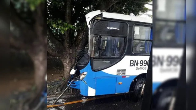 Imagem ilustrativa da notícia Ônibus bate em árvore na Almirante Barroso e deixa uma pessoa ferida 