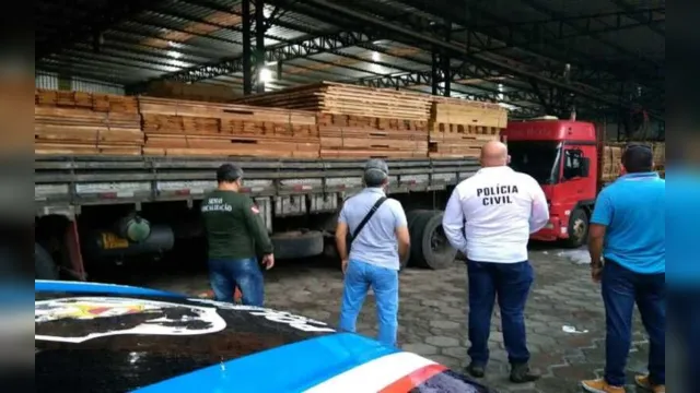 Imagem ilustrativa da notícia Carga com 120 mil cabos de vassoura é apreendida em porto de Belém