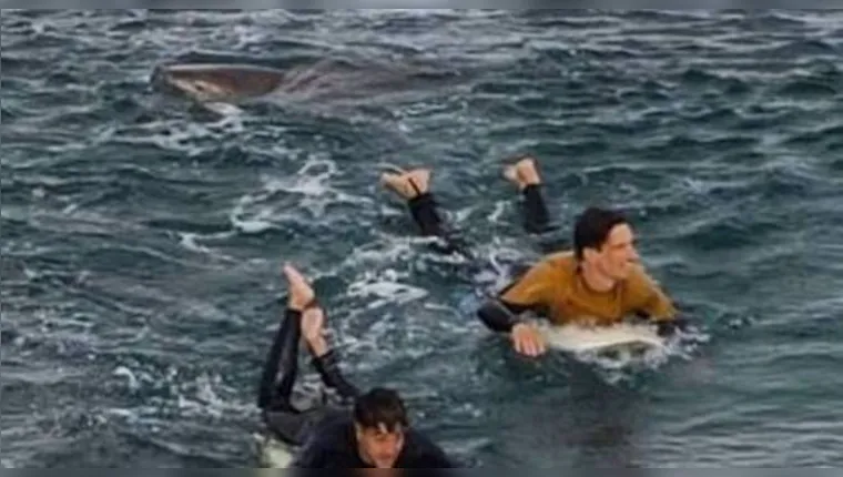 Imagem ilustrativa da notícia Surfista é atacado por tubarão, mas dá socos no animal e sobrevive; veja o vídeo!