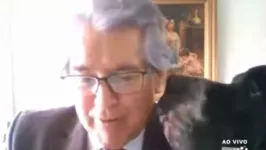 Imagem ilustrativa da notícia Cachorro 'invade' sessão online do Tribunal de Contas e baba no terno do dono