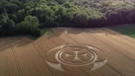 Até o momento as origens das marcas são desconhecidas.