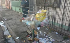 Imagem ilustrativa da notícia Feto é encontrado dentro de lixeira em feira de Belém 